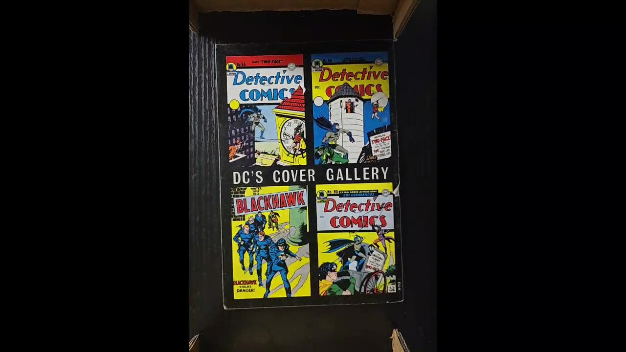 DC 100-Page Super Spectacular 20 1973 Nick Cardy