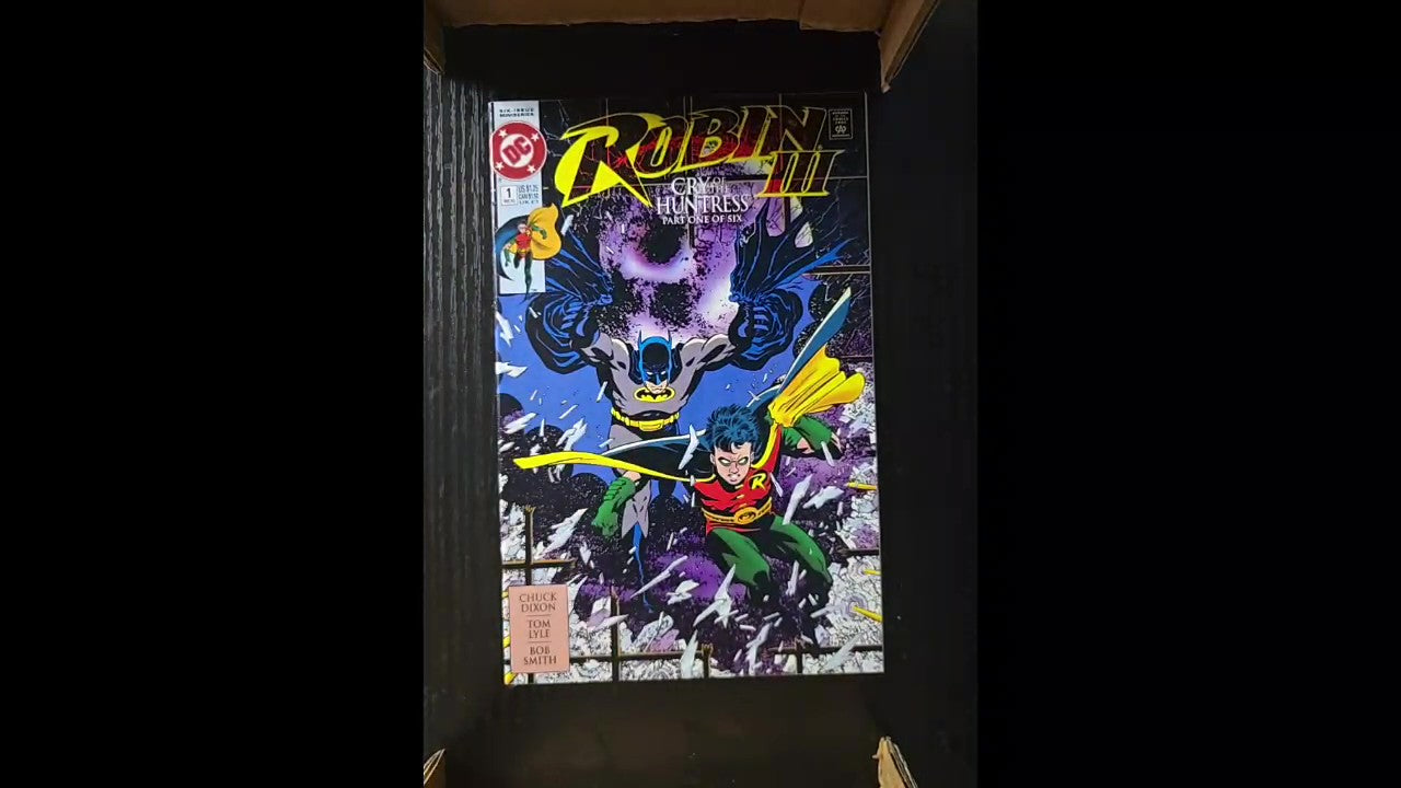 Robin III 1 1992 Mike Zeck
