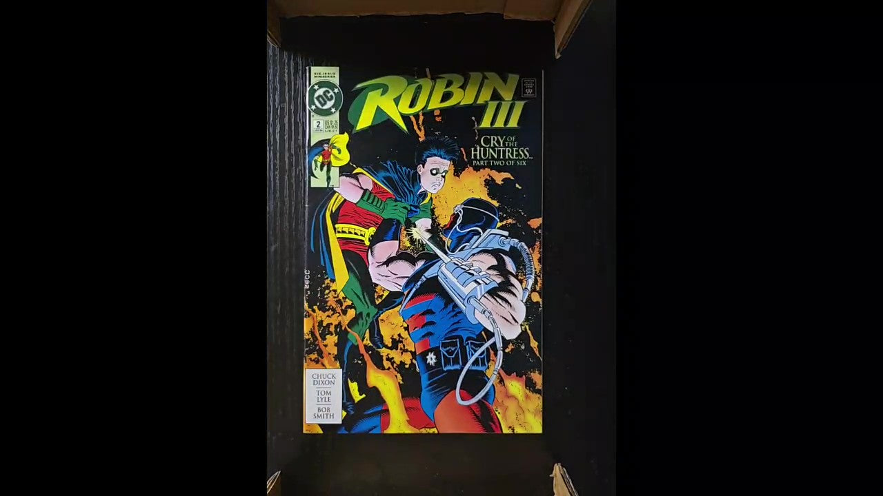 Robin III 2 1993 Mike Zeck